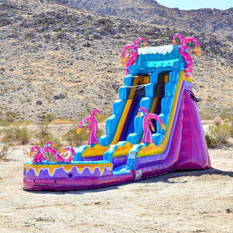 19ft Mysterious Jungle Water Slide | The Bounce House Company