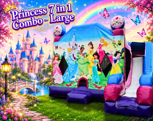 Disney Princess Bounce House
