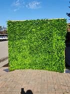 8' x 10' Grass Wall