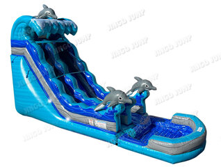 19' Dolphins Wave Wet and Dry Water Slide
