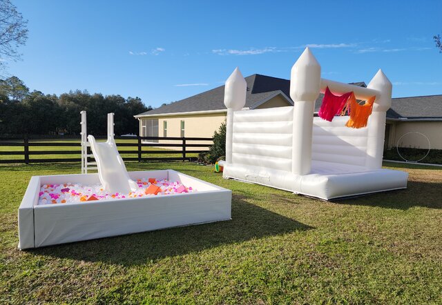 Snow White Castle and Arctic Oasis Ball Pit with Slide