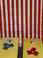 Bean Bag Toss