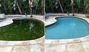 Monthly Pool Cleaning Service