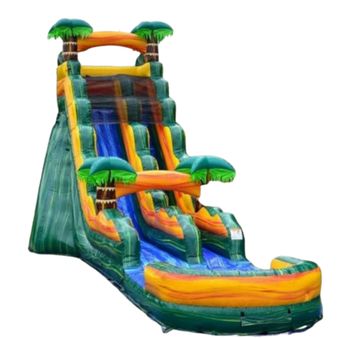 20 ft PALM TREE SLIDE WET