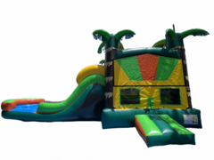 LA PALMA DUAL LANE COMBO (DRY)