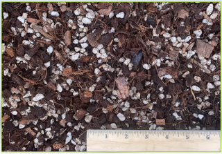Tank's House Plant Mix - Bulk