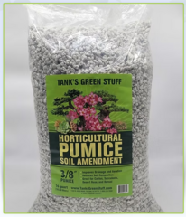Pumice