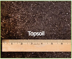Topsoil 