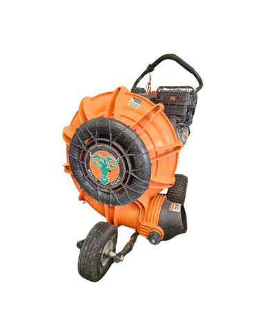 Walk-Behind Leaf Blower