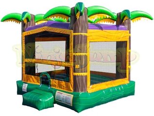 Tropical Mardi Gras Bounce House