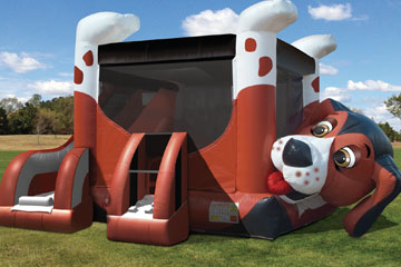 The Fishing Hole (Fish Game) - Party Rentals, Inflatable Rental, Bounce  Houses, Games in Texas