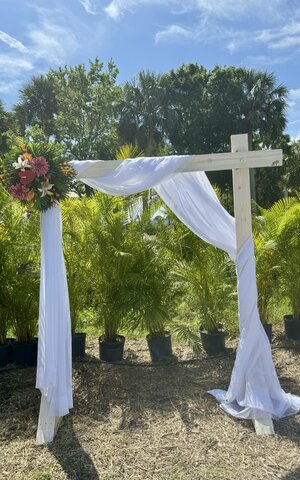 Wedding Arch (Antique White)