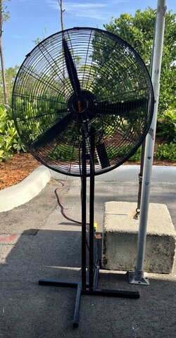 Indoor/Outdoor Black Fan