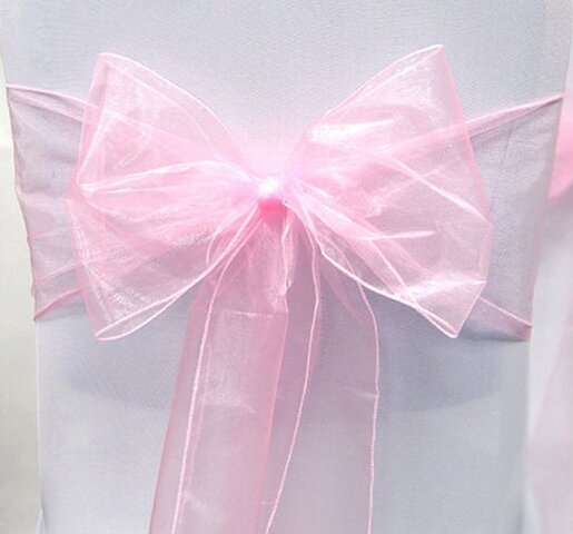 Sash (Baby Pink Organza)