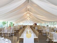 White Voile Sheer Drape (118" x 20')