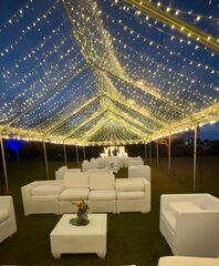 100' Twinkle Lights