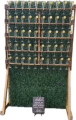 Green Hedge Champagne Wall (4'W x 8'H