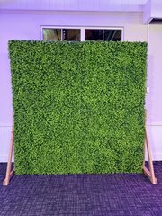 Green Hedge Backdrop