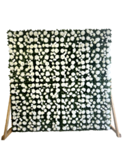 White Silk Rose Hedge Backdrop (8'L x 8'H)