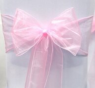 Sash (Baby Pink Organza)