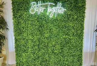 Green Hedge Backdrop
