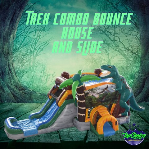 Dinosaur Bounce House Water Slide Combo