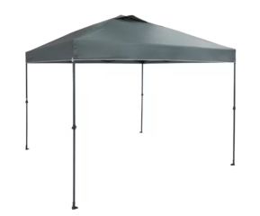 10 x 10 foot Canopy - Grey