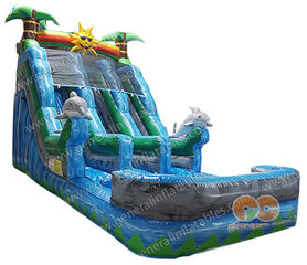 (B) 19ft Dolphin Dual Lane Wet/Dry slide