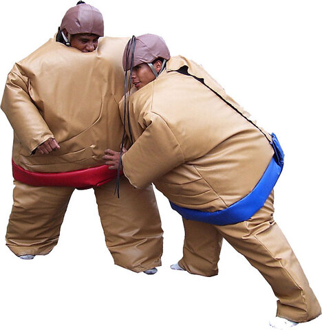 (B) Adult Foam Sumo with mat