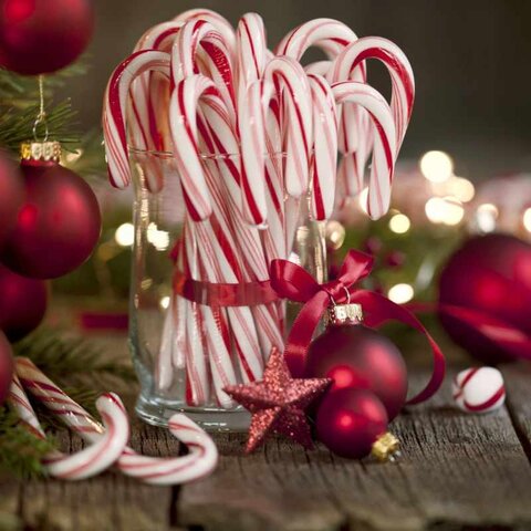 Snow Juice Scented - Candy Cane
