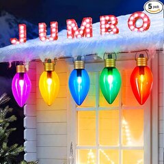 Premier Holiday Lights for Snow Globe