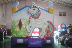 Small Bounce House Rental