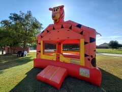 <p>15 X 15 Large Bounce Houses</p>