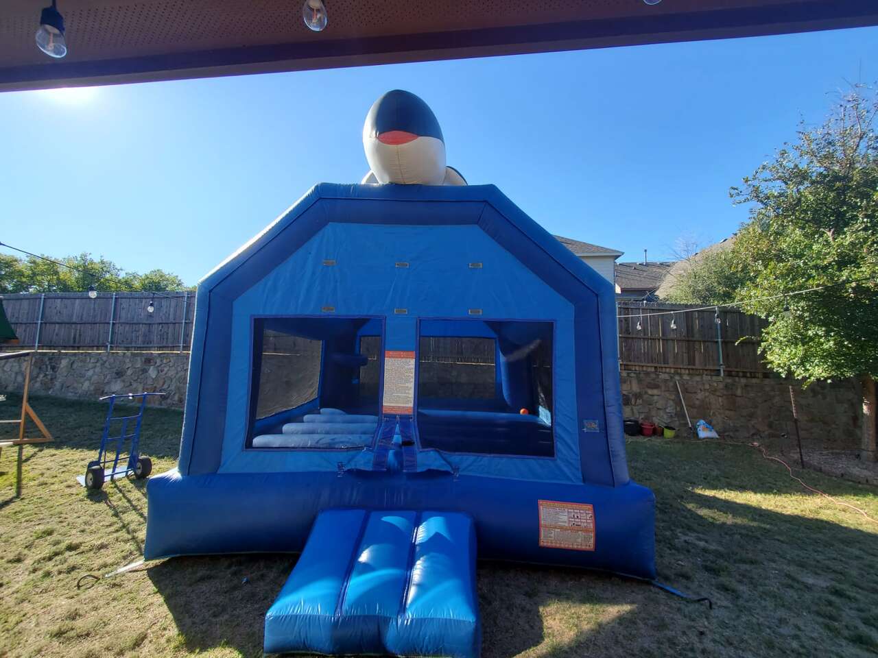 Professional Themed Party Planning