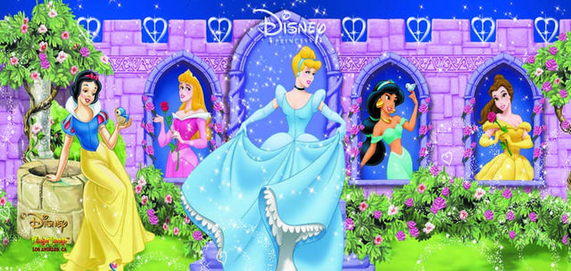 Disney Princesses Banner