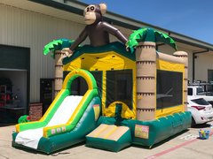 Tropical Kong Dry $200 or Wet $250 (#16)
