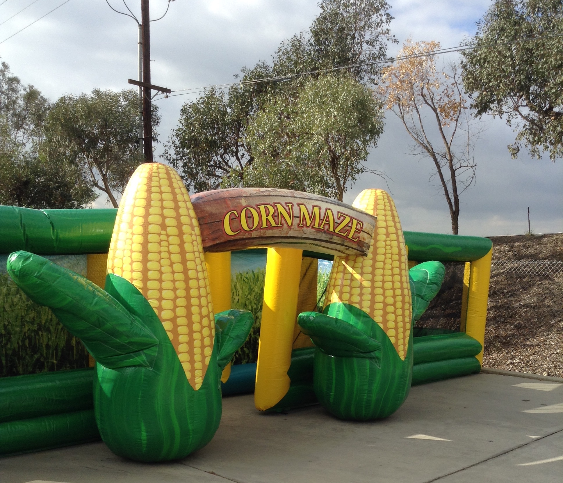 corn maze party