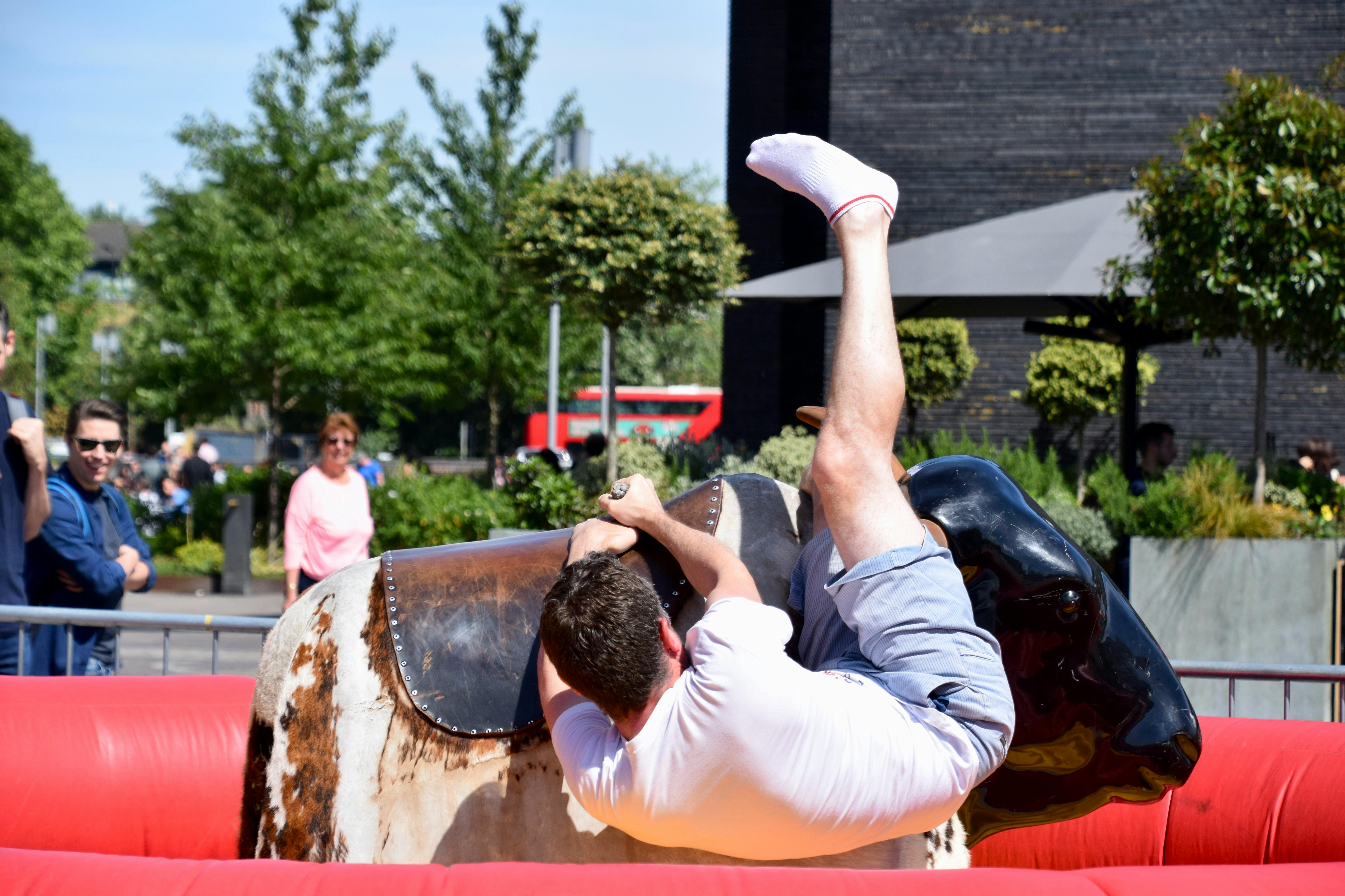 Mechanical bull Mechanical bull