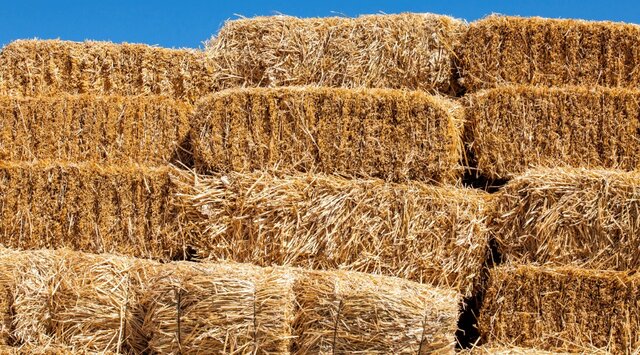 Bales of Hay