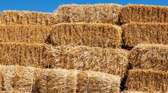 Bales of Hay