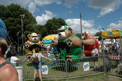 Bear Affair Carnival Ride