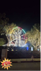 Ferris Wheel 45'