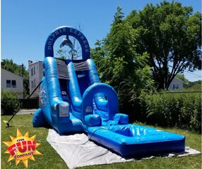Dolphin Express Water Slide