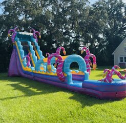 21’ Whimsical Waterslide / Slip n Slide 