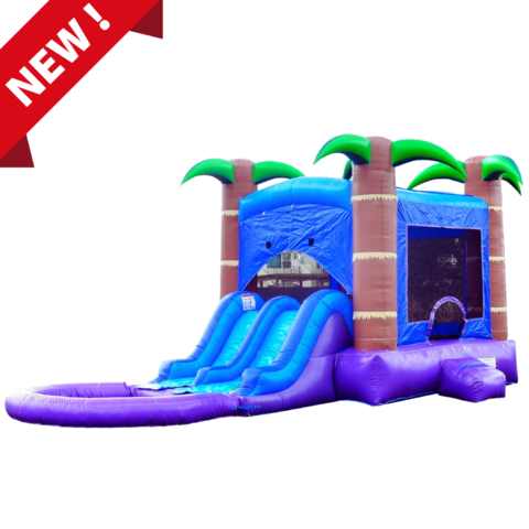 Enchanted Forest and Dual Slide Combo with Pool