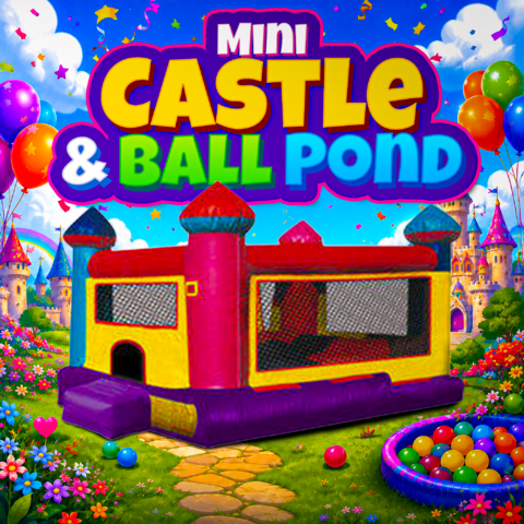 Mini Castle & Ball Pond Combo