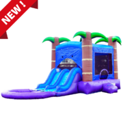 Enchanted Forest and Dual Slide Combo with Pool