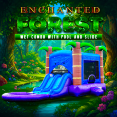 Enchanted Forest Wet Combo with Pool and Slide