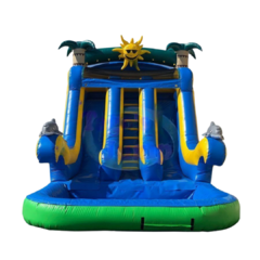 Tropical Dual Lane Slide
