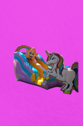 Rainbow Unicorn slide Wet/Dry